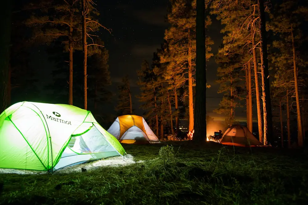 Tenda-tenda menyala di bawah pepohonan saat malam